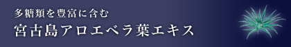 多糖類を豊富に含む 宮古島アロエベラ葉エキス