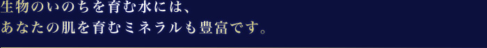 生物のいのちを育む水には、あなたの肌を育むミネラルも豊富です。