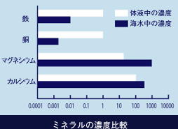 ミネラルの濃度比較