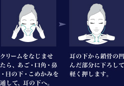 クリームをなじませたら、あご・口角・鼻・目の下・こめかみを通して、耳の下へ。耳の下から鎖骨の凹んだ部分に下ろして、軽く押します。